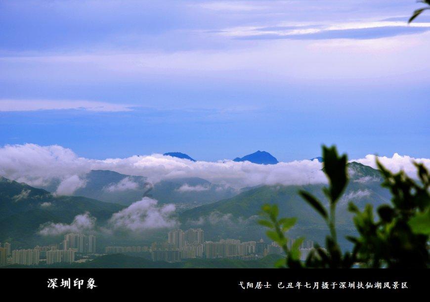 冠馥星品*黑松露南瓜蒸饺